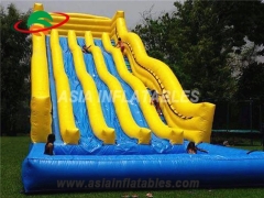 Cartoon Bouncer Giant inflatable slide with pool